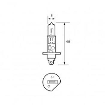 Bulb 12V 55W H1 UV HALOGEN  Pk10