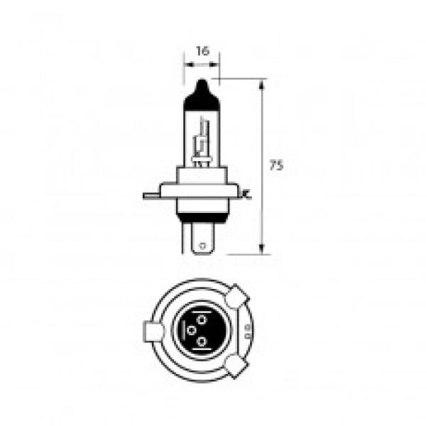 Bulb 24V 75/70W H4 P43T HALOGEN Pk10